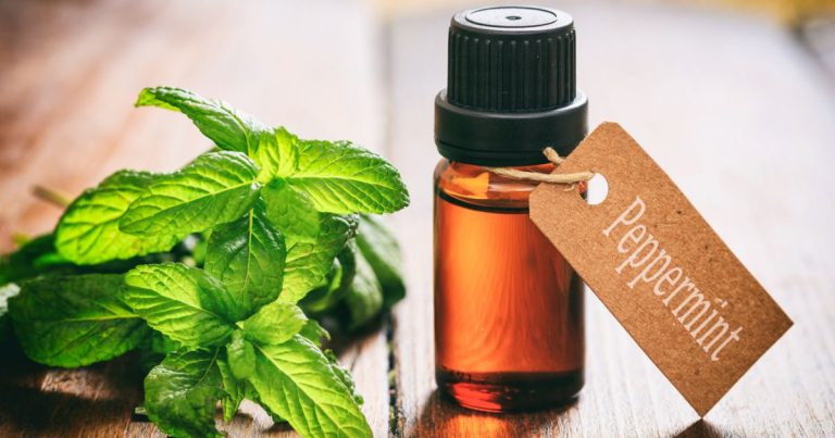 Global Peppermint Oil Market